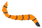 Catch my Tail